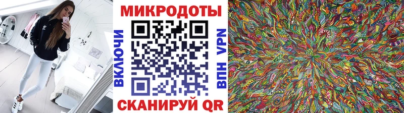 наркотики  Сычёвка  Псилоцибиновые грибы Psilocybe 